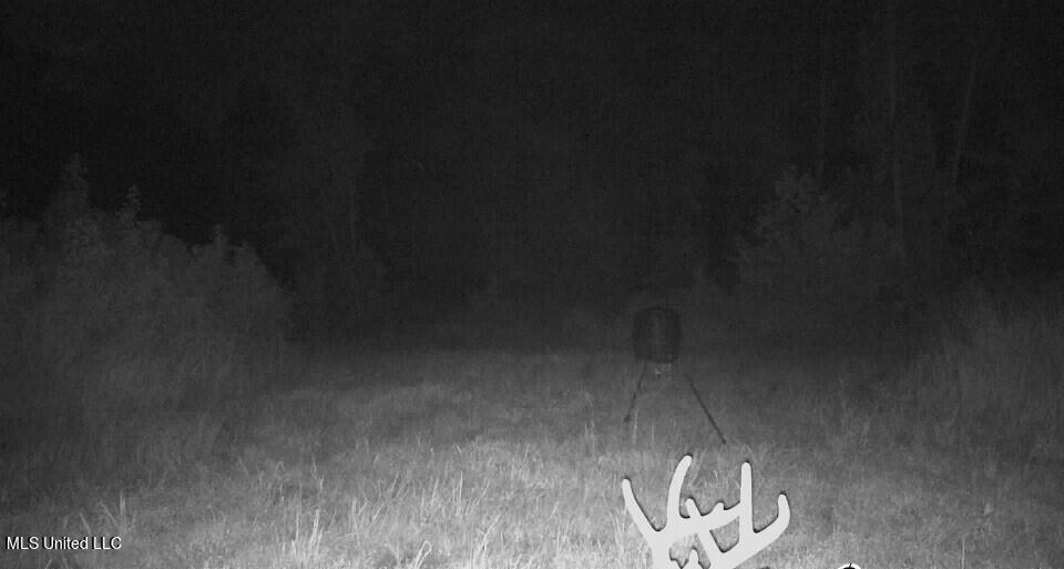 4655 Paul-Shady Grove Road Scobey, MS 38953 - Photo 58 of 60 thumbnail_Image-1 (4)