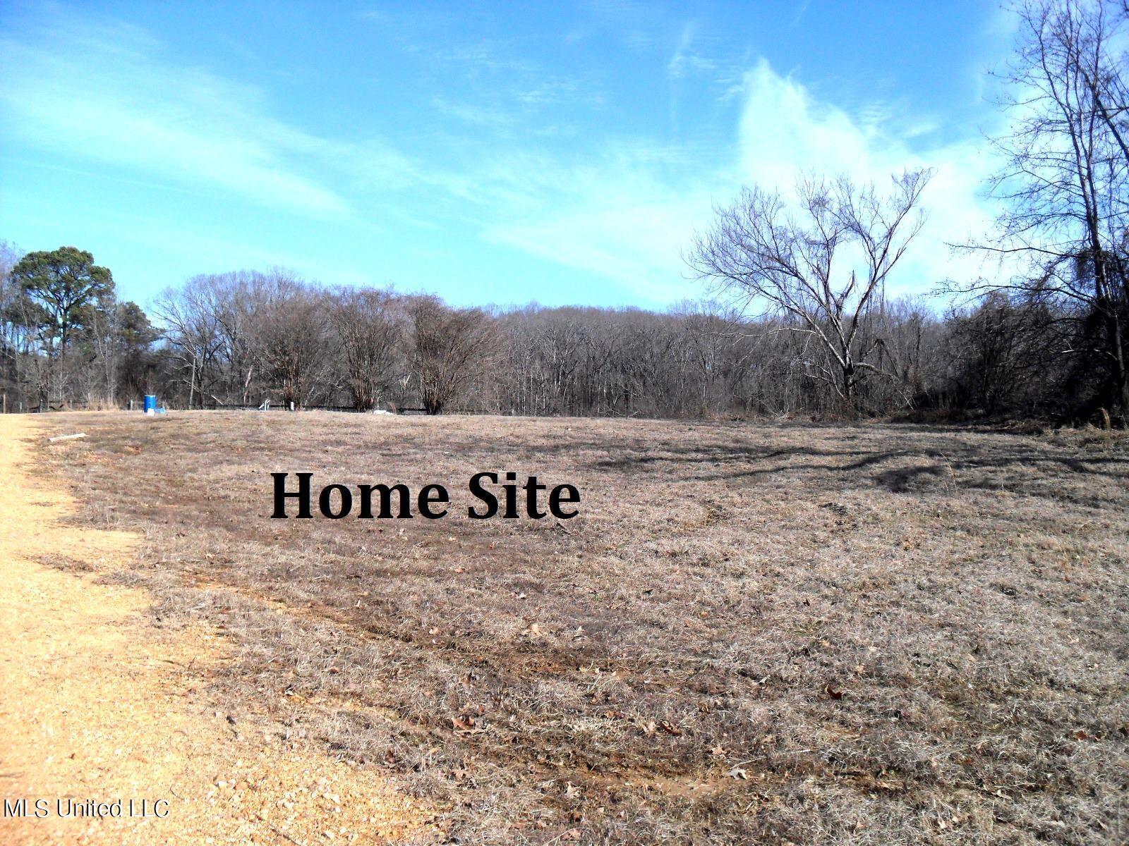 4655 Paul-Shady Grove Road Scobey, MS 38953 - Photo 7 of 60 SAM_0798