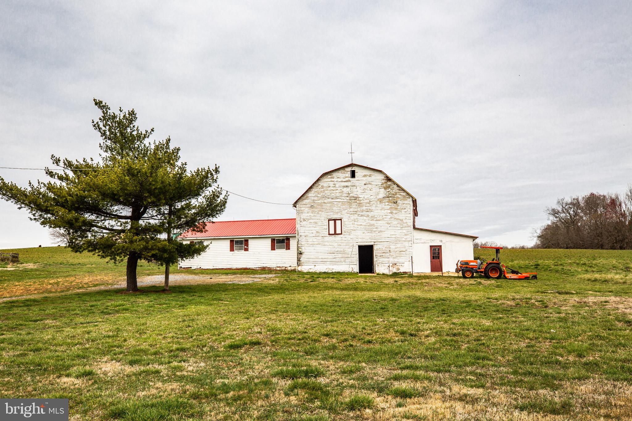 504 Poplar Road Fredericksburg, VA 22406 - Photo 47 of 61 Hello, horses!