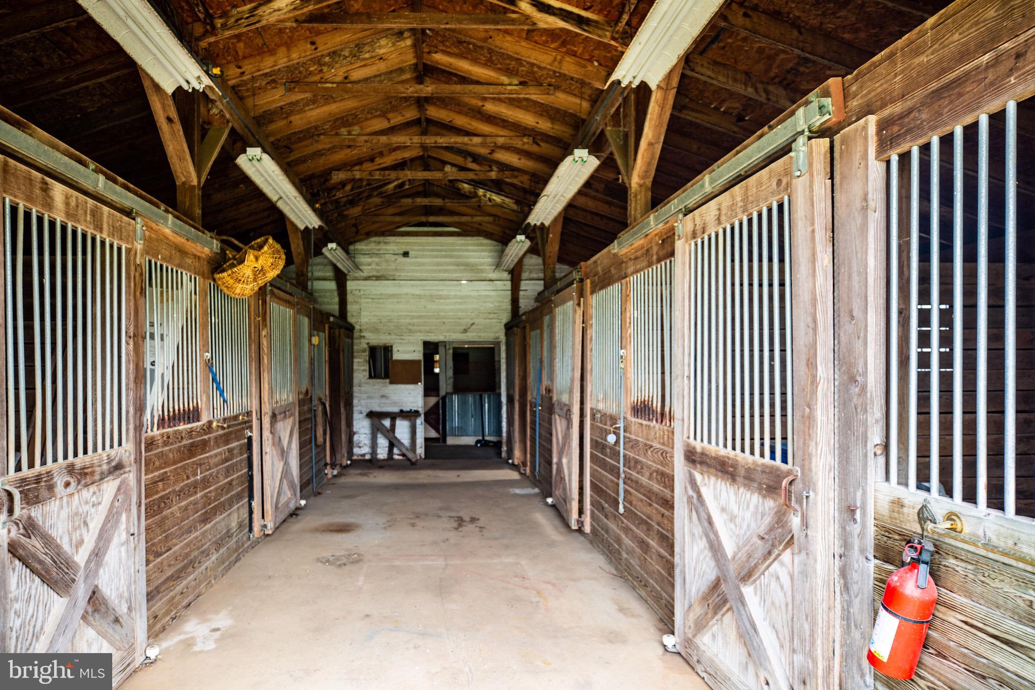 504 Poplar Road Fredericksburg, VA 22406 - Photo 50 of 61 Time for more horses to come home