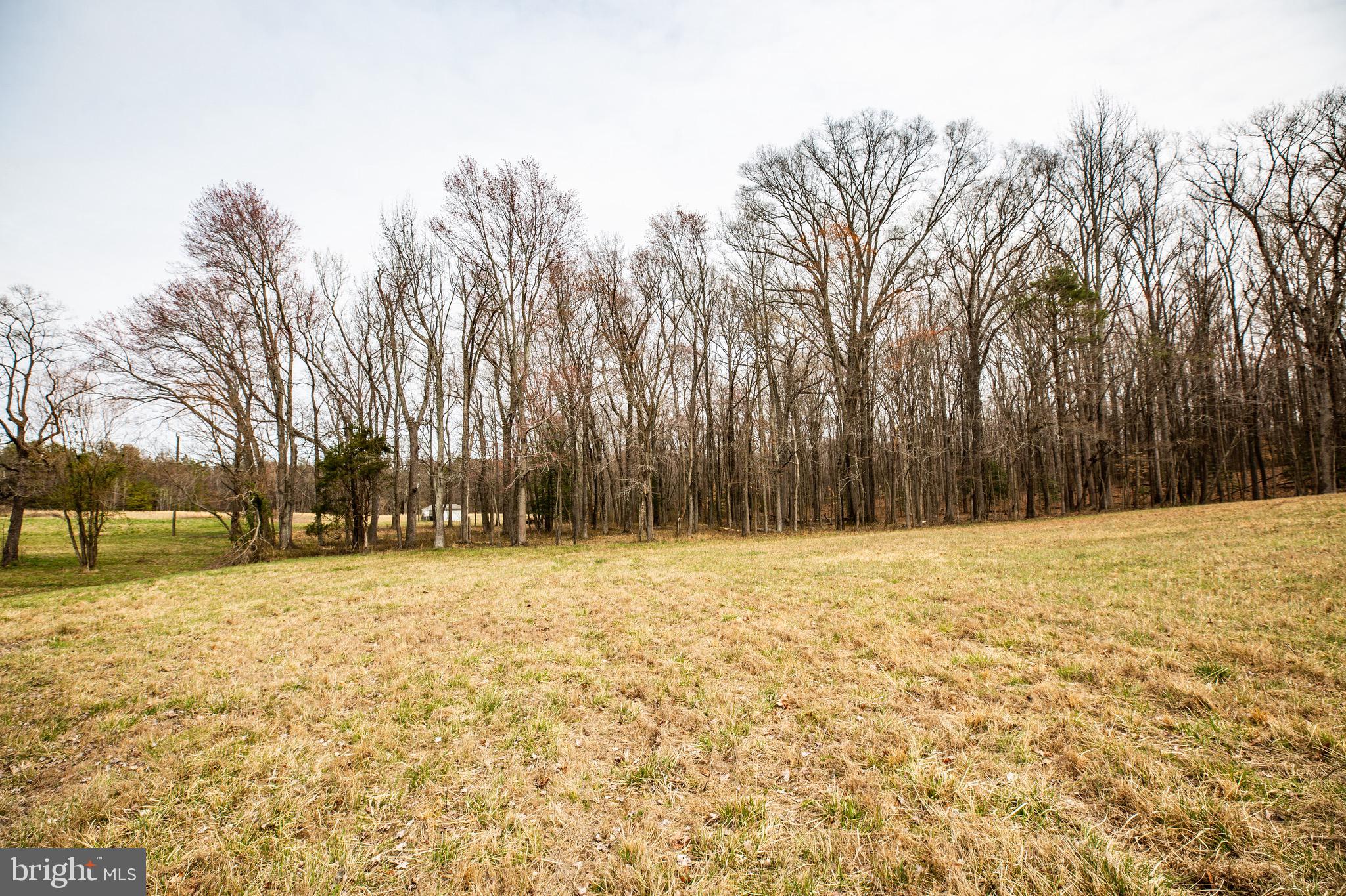 504 Poplar Road Fredericksburg, VA 22406 - Photo 54 of 61