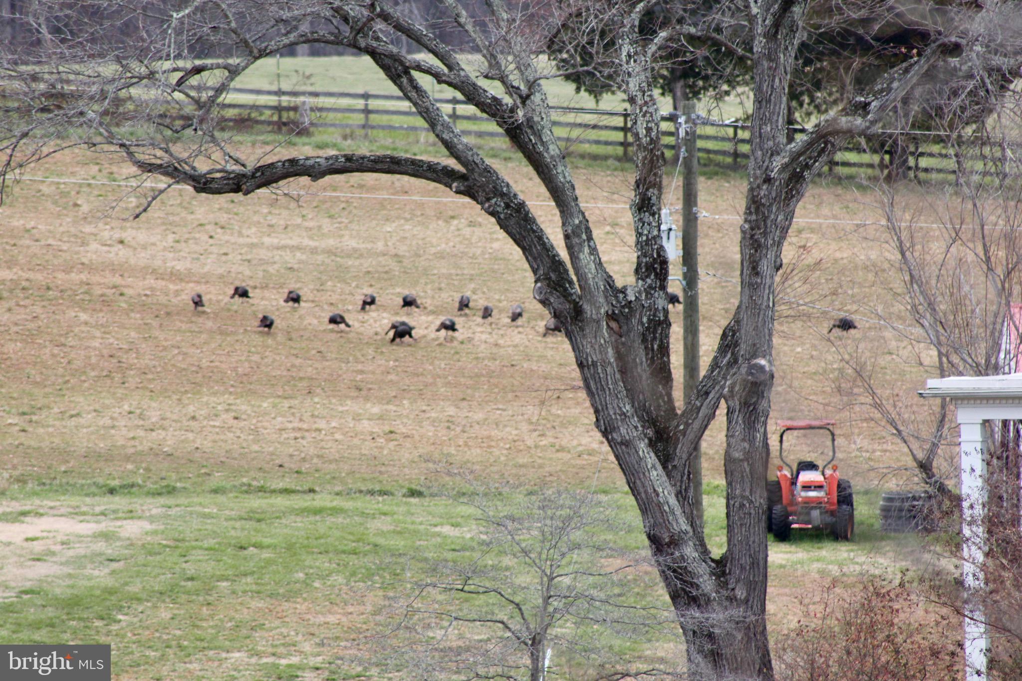 504 Poplar Road Fredericksburg, VA 22406 - Photo 58 of 61