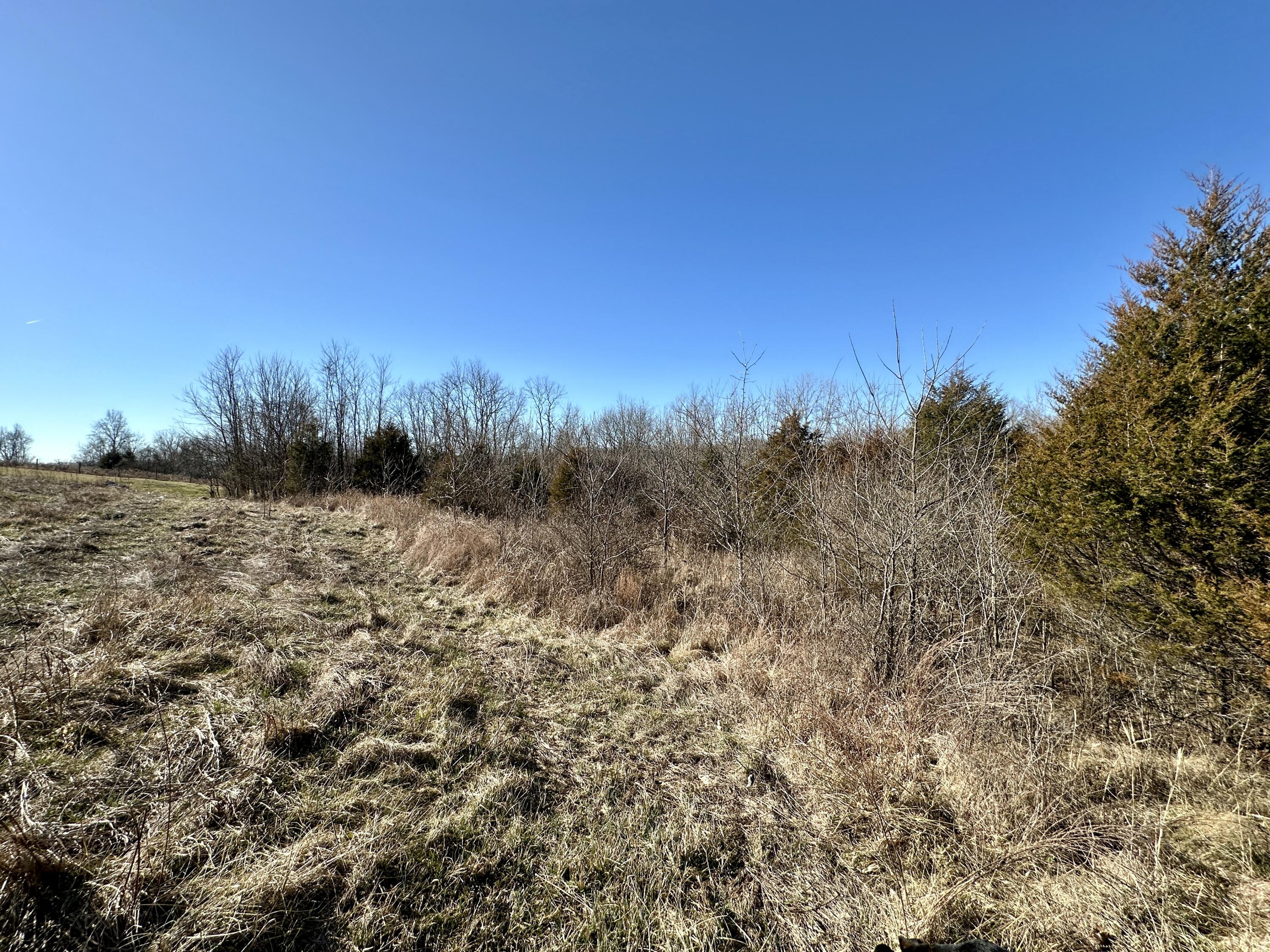 0 Ten 10 Mile Road Mount Eden, KY 40046 - Photo 14 of 16 Gallery Image 14