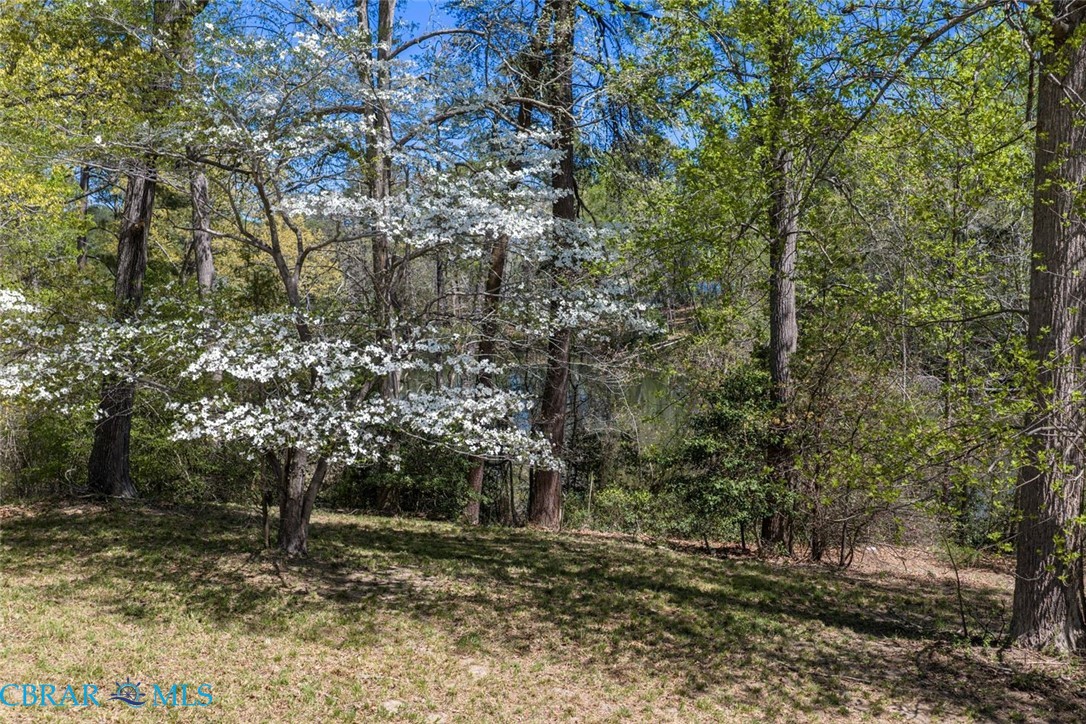 0 Dancers Creek Road Gloucester, VA 23061 - Photo 20 of 22