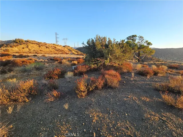 $85,000 | 0 Angeles Forest, Palmdale, CA 93550
