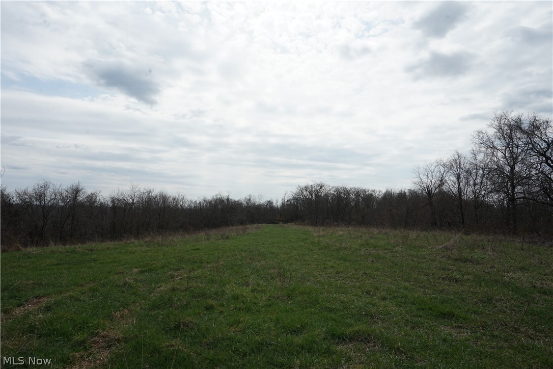 56835 Stephens Road Jacobsburg, OH 43933 - Photo 26 of 50