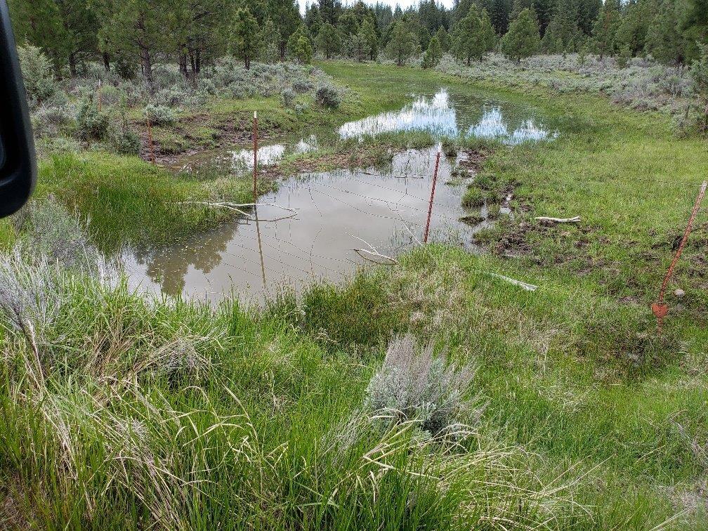 0 24 Bamford Road Bly, OR 97622 - Photo 9 of 19 Additional Photo