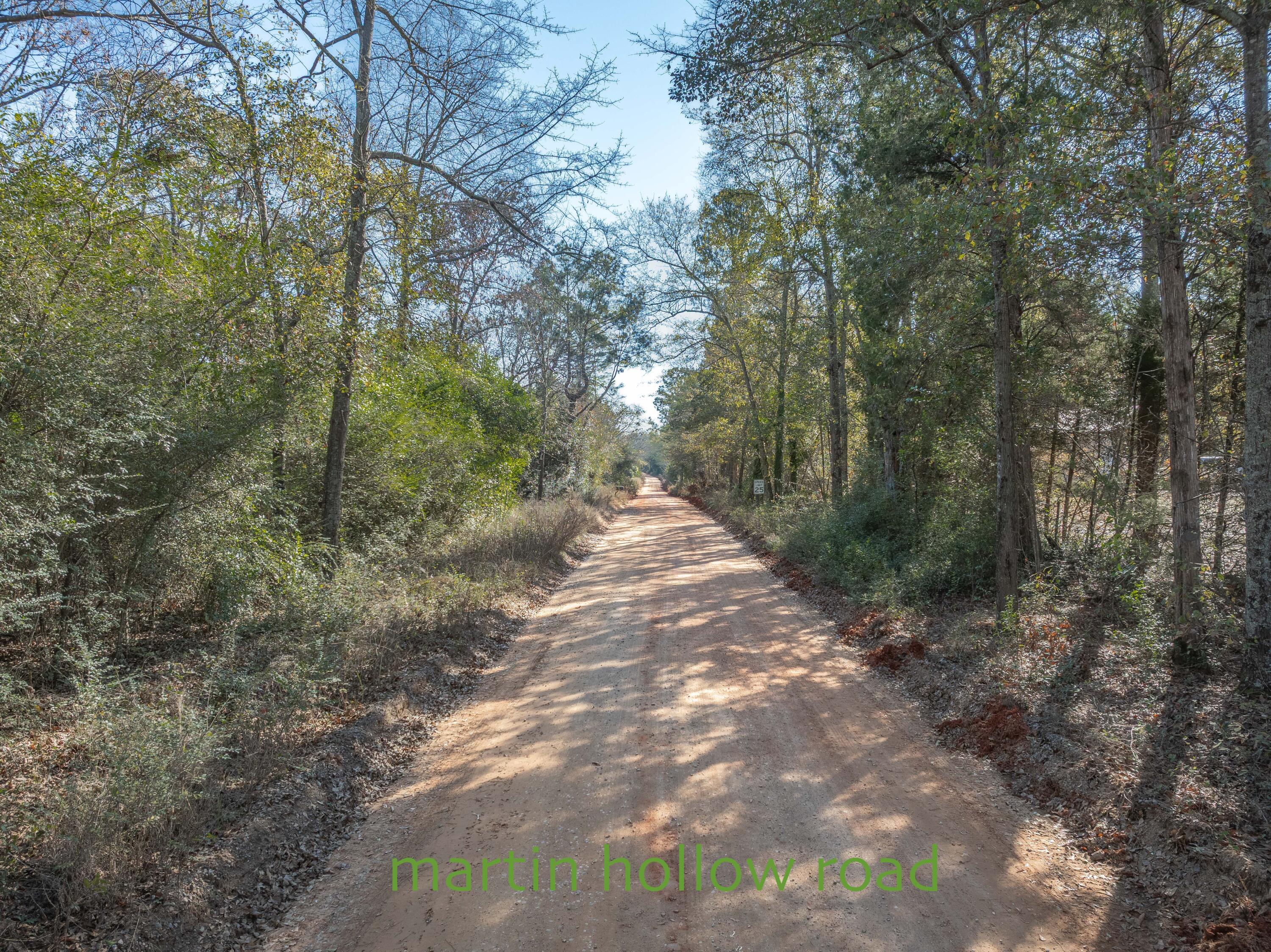 127 Martin Hollow Road Aiken, SC 29803 - Photo 61 of 69