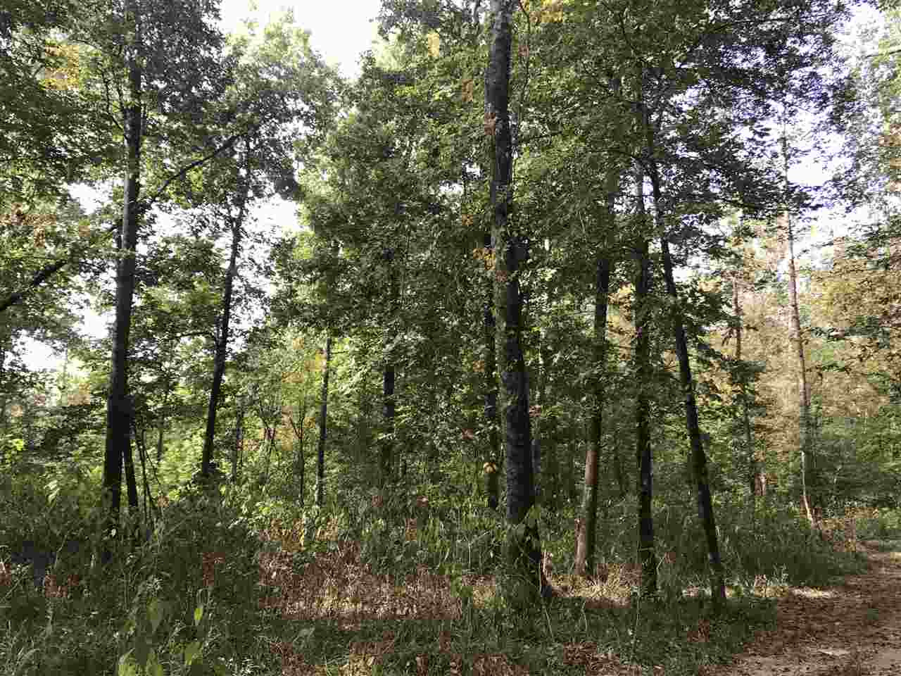 1 Lake Road Pelahatchie, MS 39145 - Photo 12 of 17 Photo 12