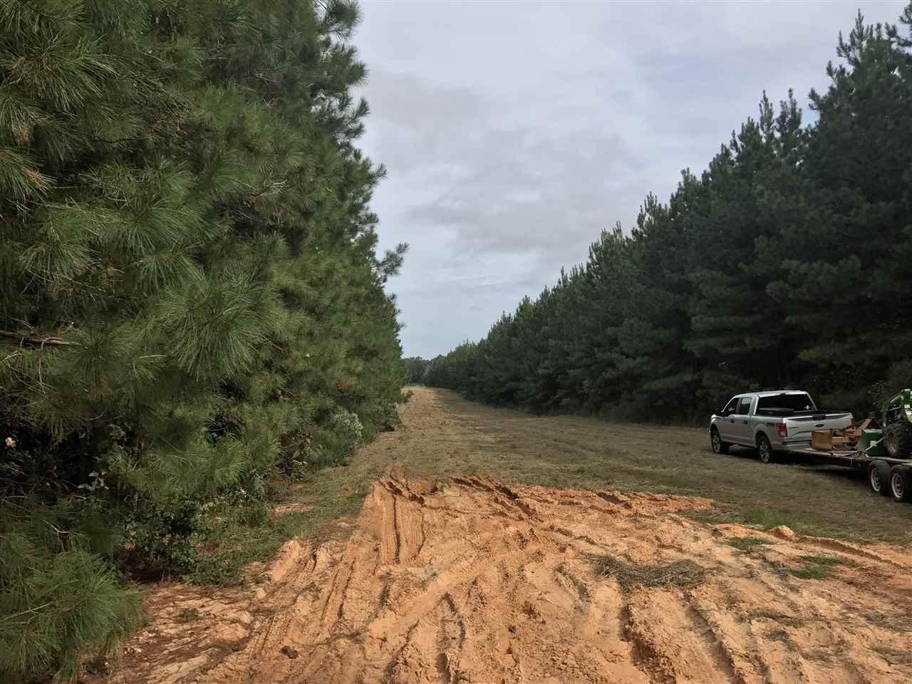 1 Lake Road Pelahatchie, MS 39145 - Photo 13 of 17 Photo 13