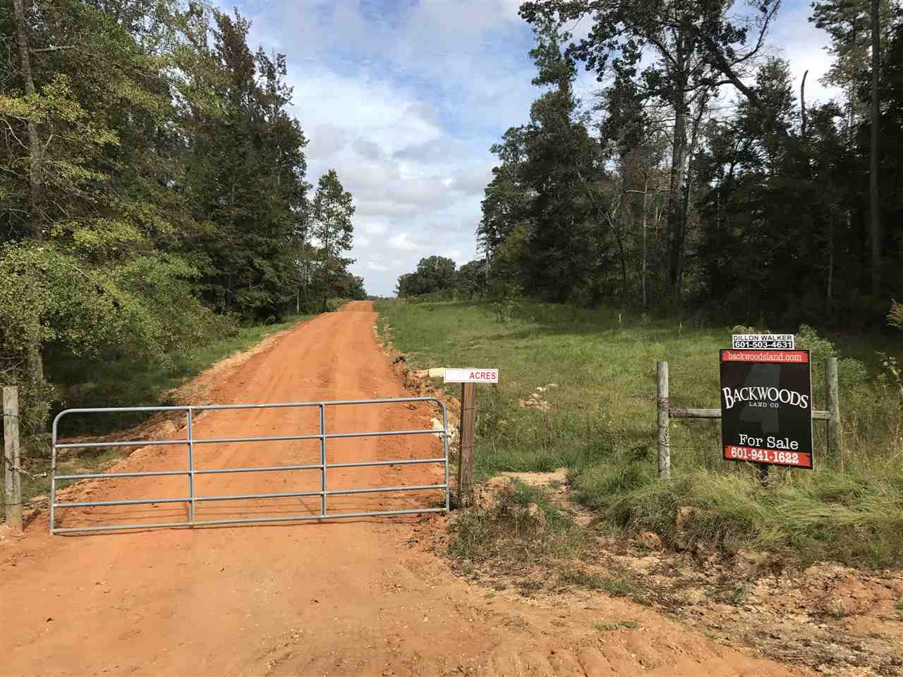 1 Lake Road Pelahatchie, MS 39145 - Photo 6 of 17 Photo 6