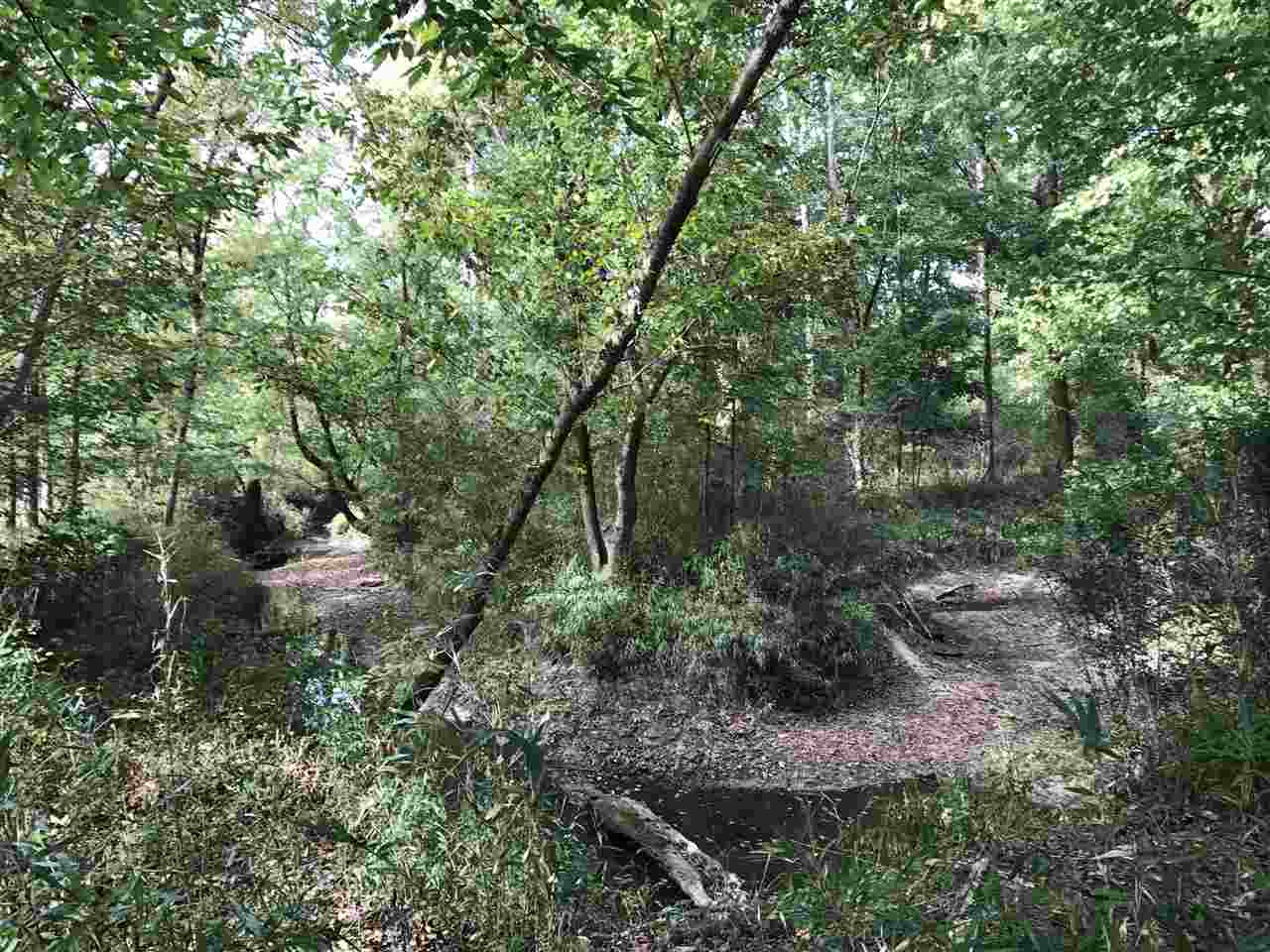 1 Lake Road Pelahatchie, MS 39145 - Photo 10 of 17 Photo 10
