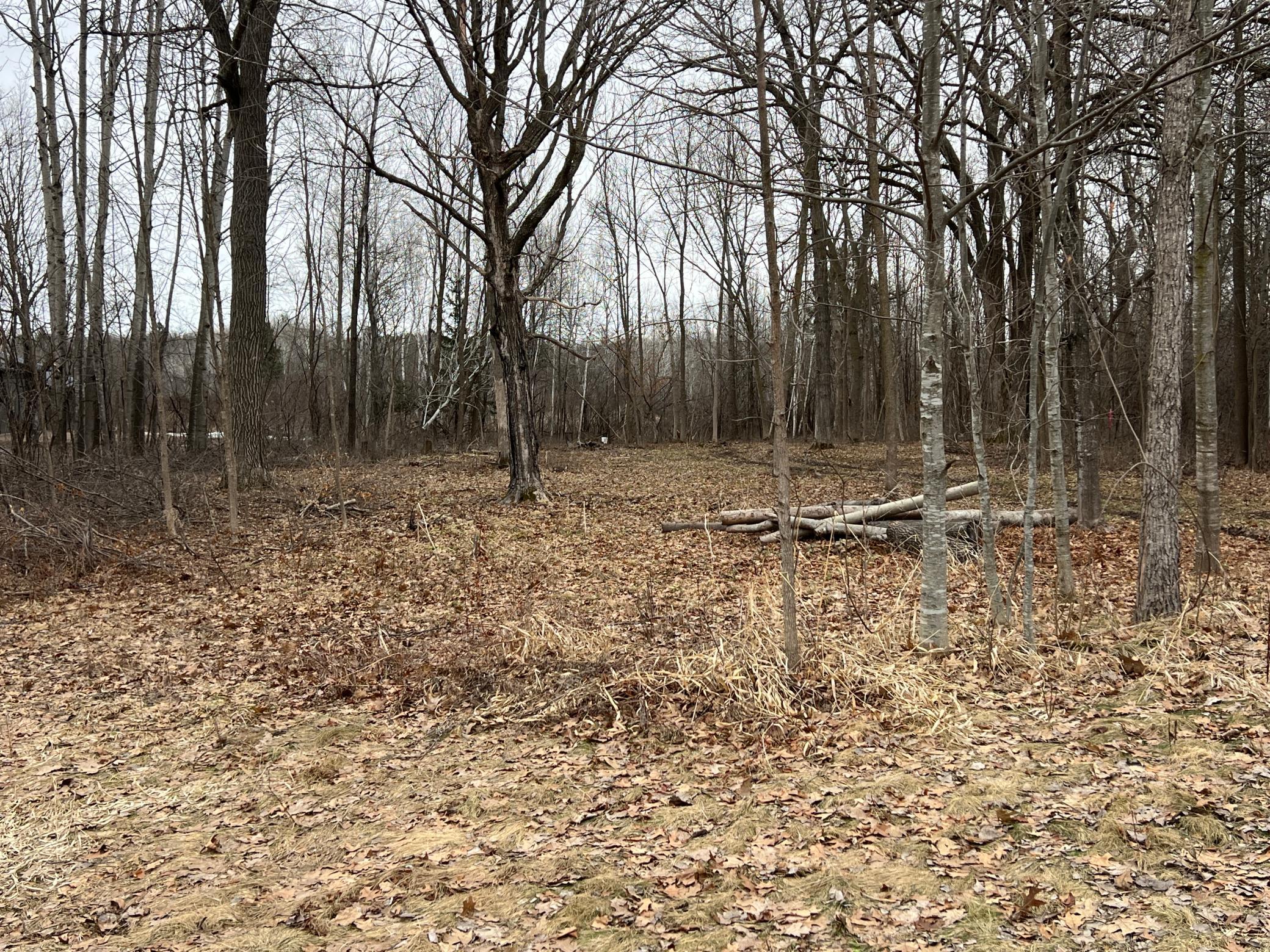 13552 Cross Lake Road Southeast Pine City, MN 55063 - Photo 2 of 9