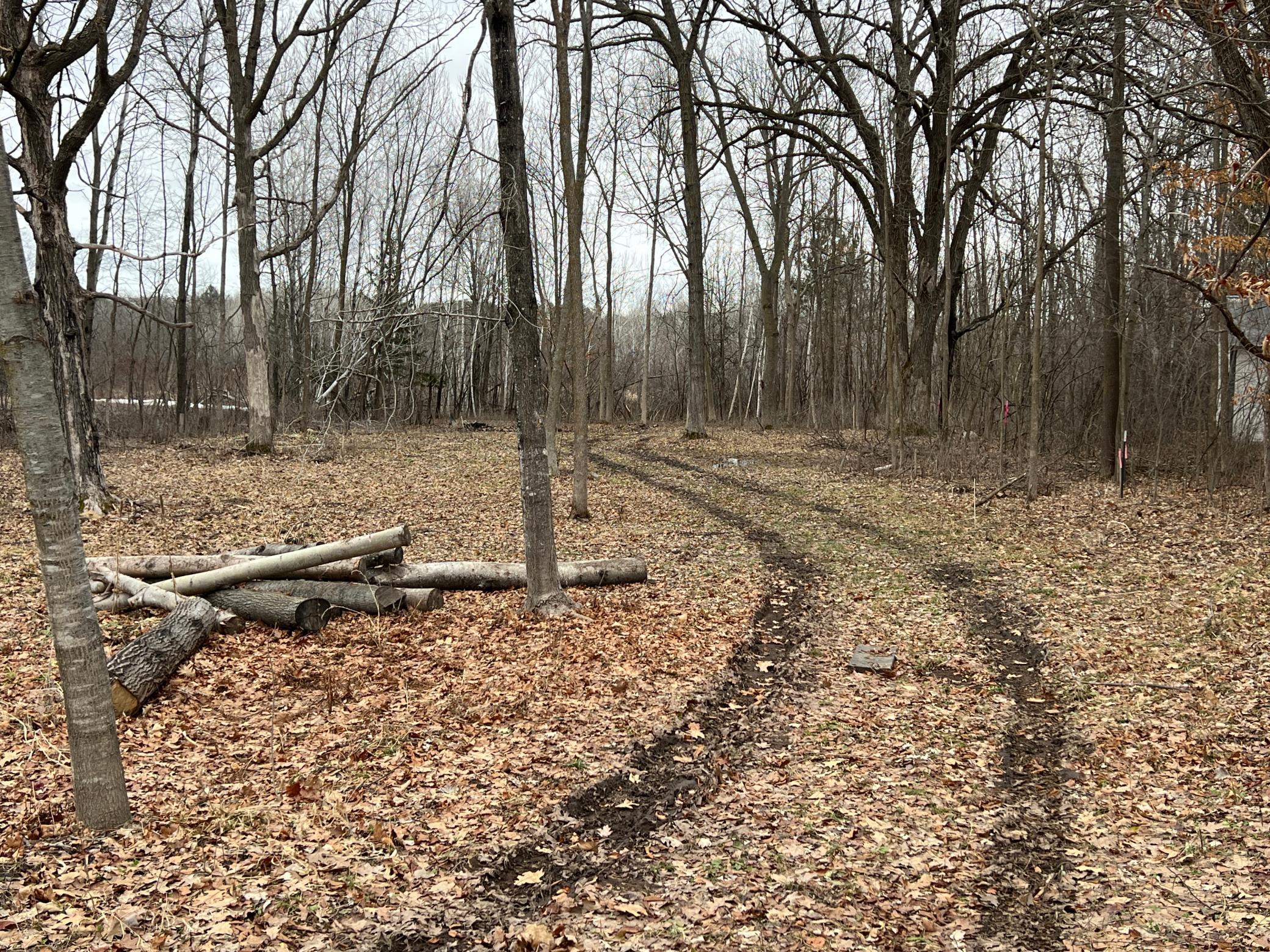 13552 Cross Lake Road Southeast Pine City, MN 55063 - Photo 3 of 9