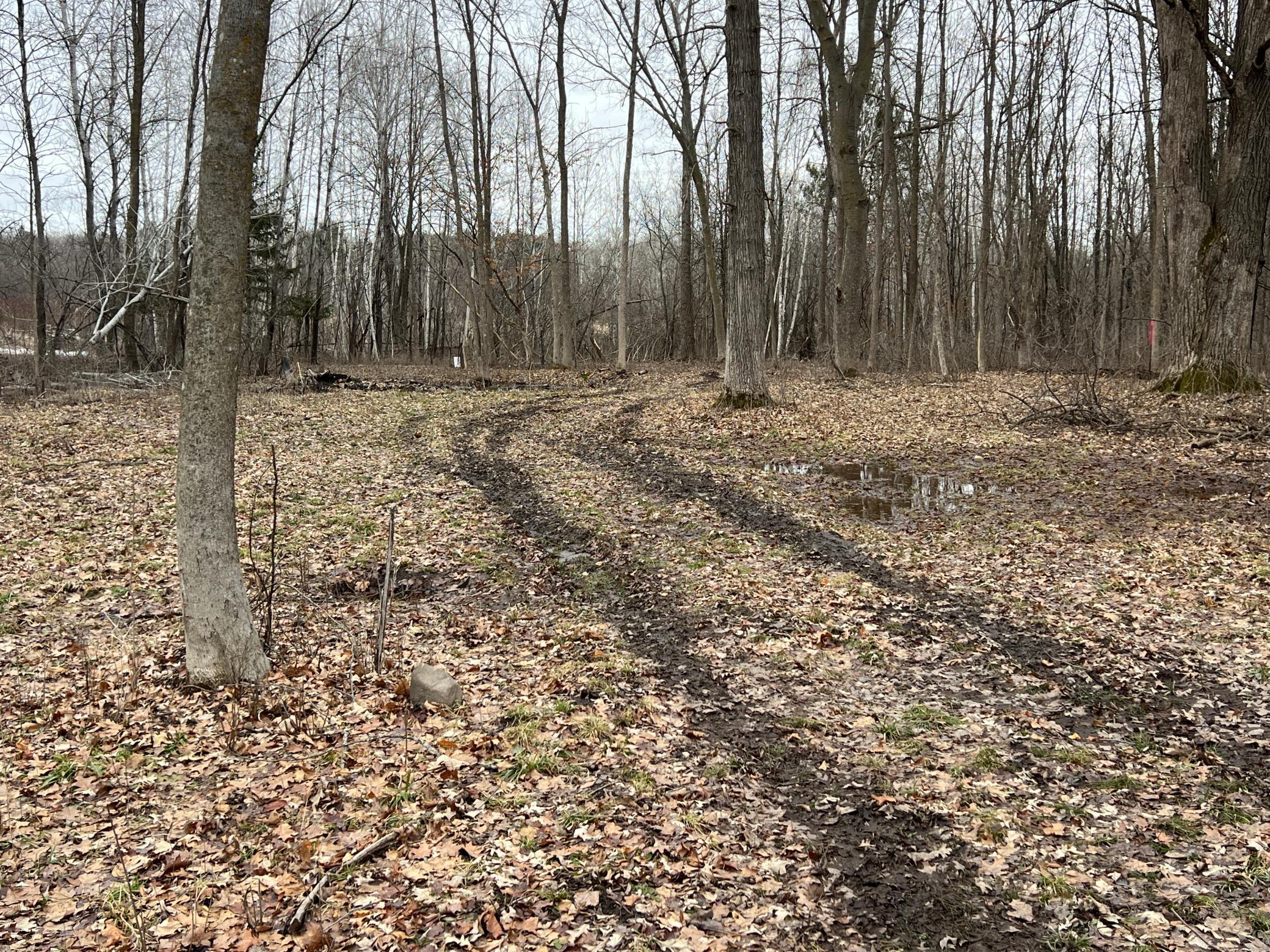 13552 Cross Lake Road Southeast Pine City, MN 55063 - Photo 4 of 9