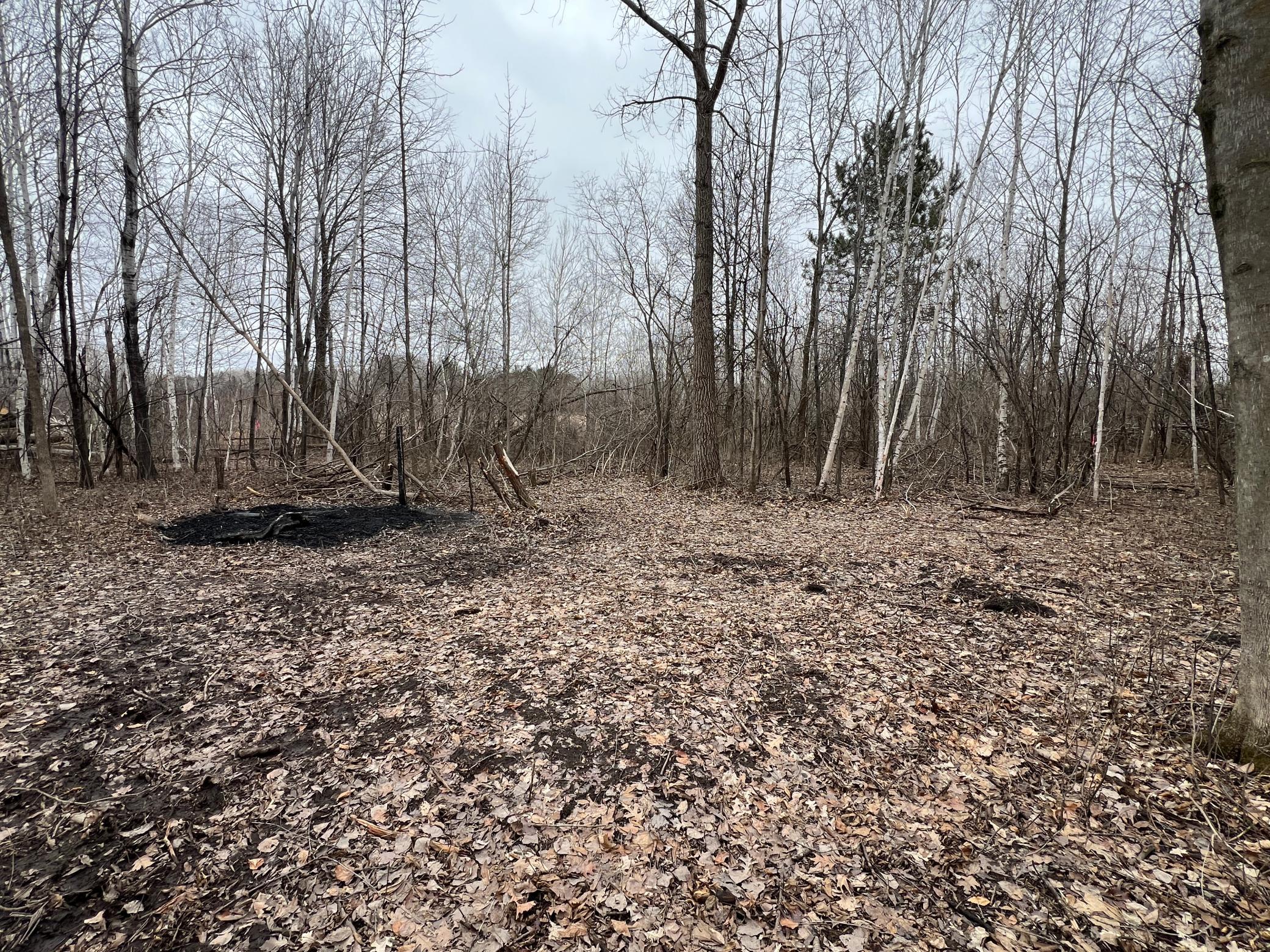 13552 Cross Lake Road Southeast Pine City, MN 55063 - Photo 5 of 9