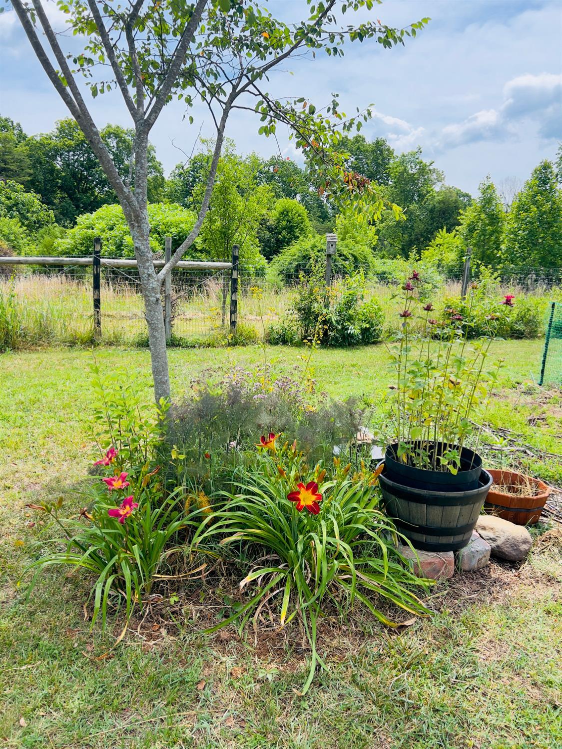 2664 West Perch Road Monroe, VA 24574 - Photo 57 of 69