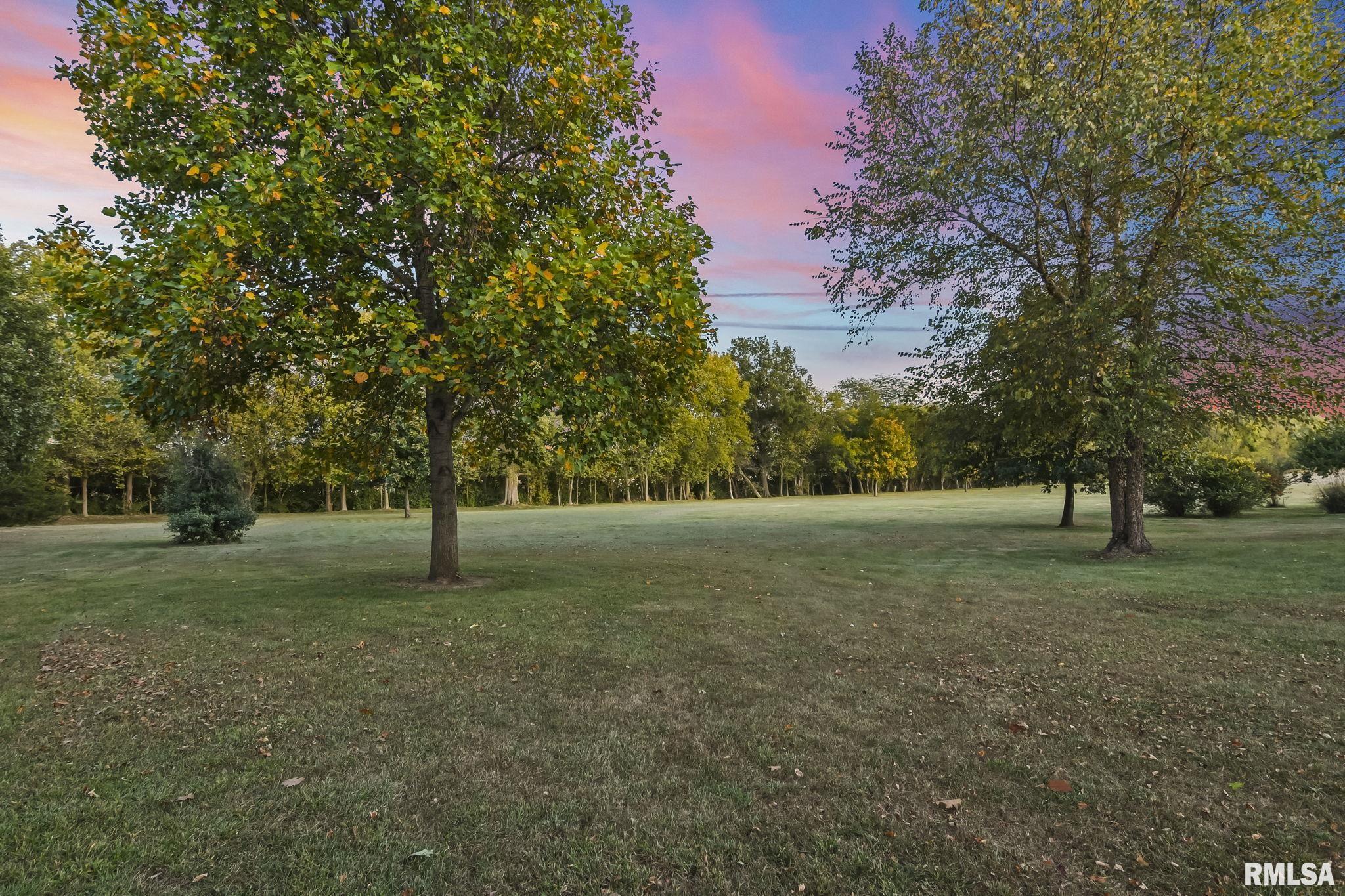 460 South Oaklane Road Springfield, IL 62712 - Photo 48 of 100