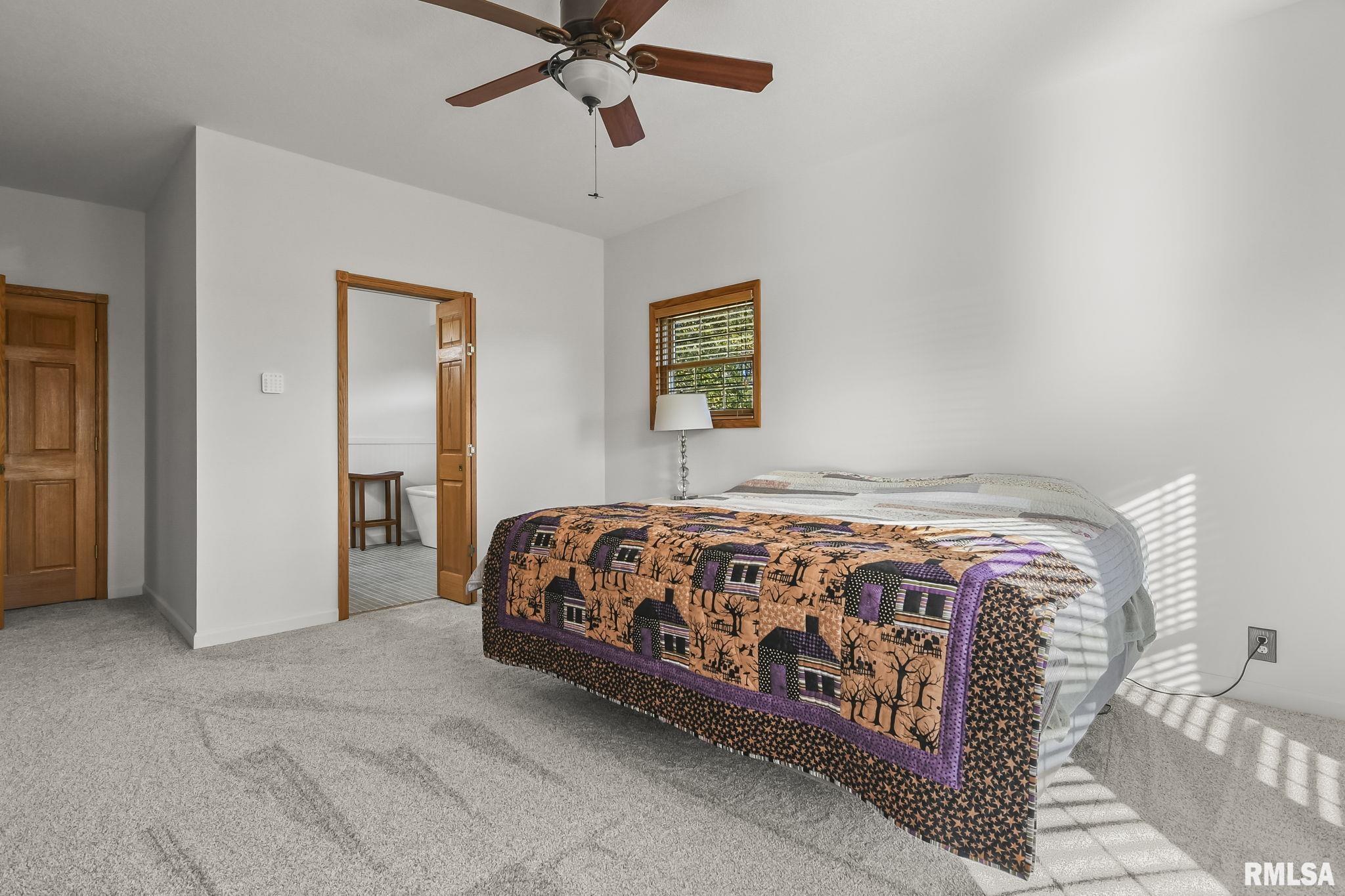 460 South Oaklane Road Springfield, IL 62712 - Photo 81 of 100