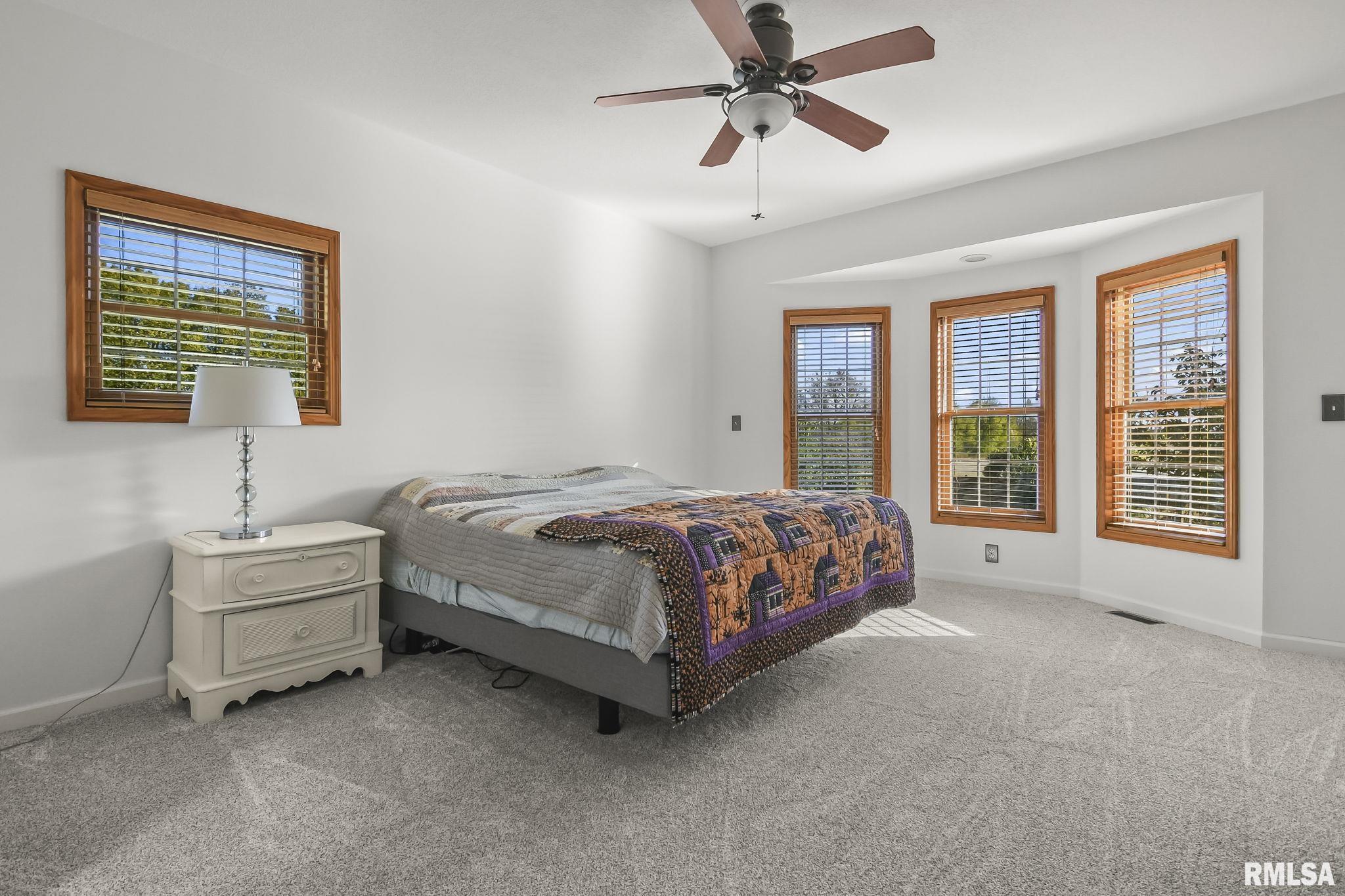 460 South Oaklane Road Springfield, IL 62712 - Photo 82 of 100