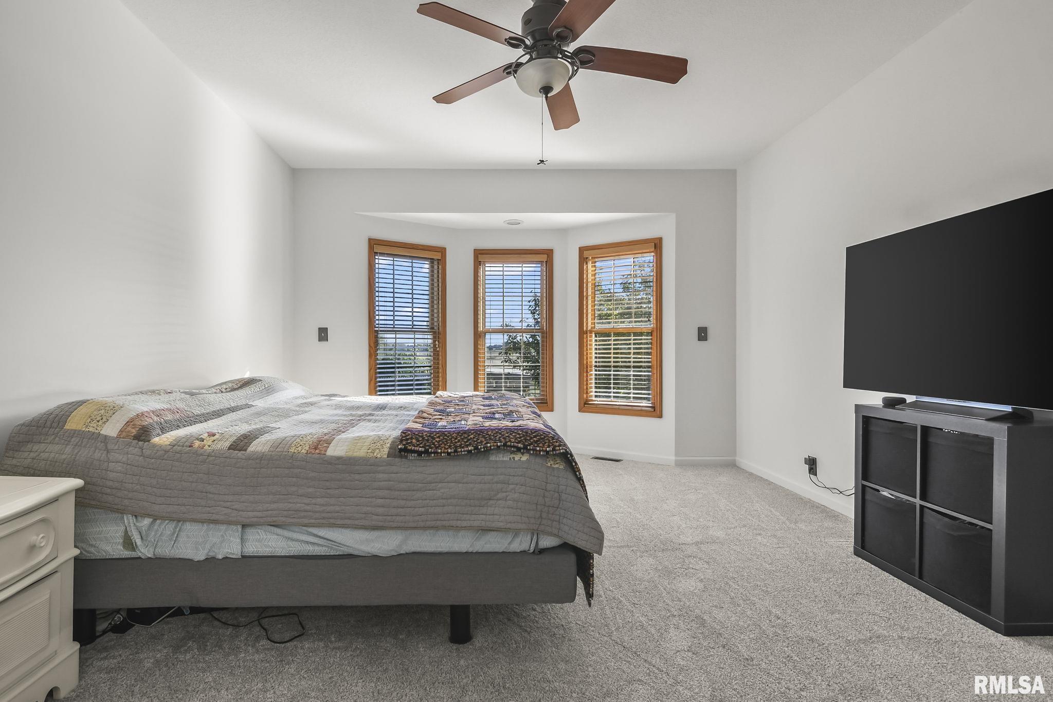 460 South Oaklane Road Springfield, IL 62712 - Photo 83 of 100