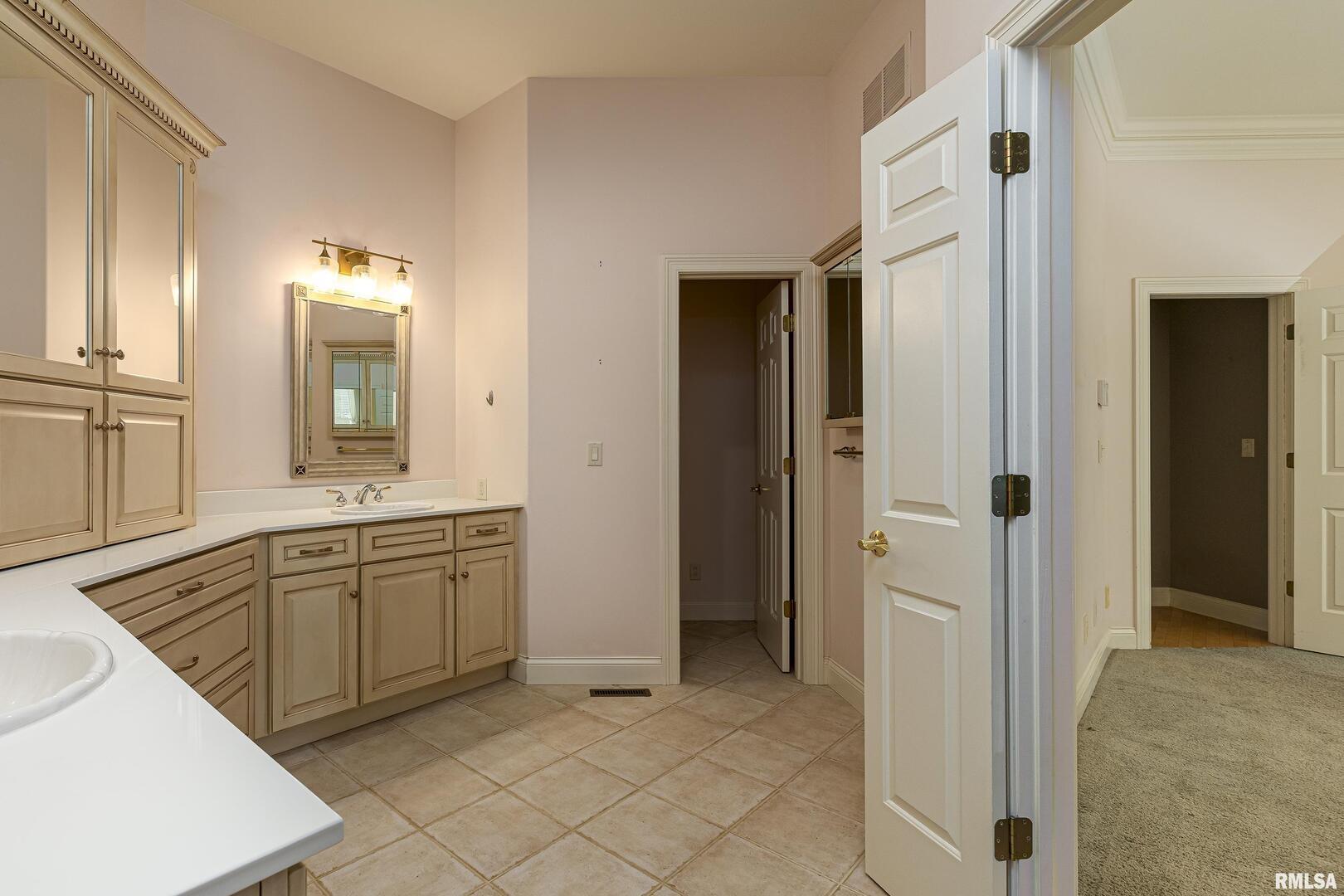 3115 West Striegel Road Carbondale, IL 62901 - Photo 39 of 54 a bathroom with a sink a mirror and a bathtub