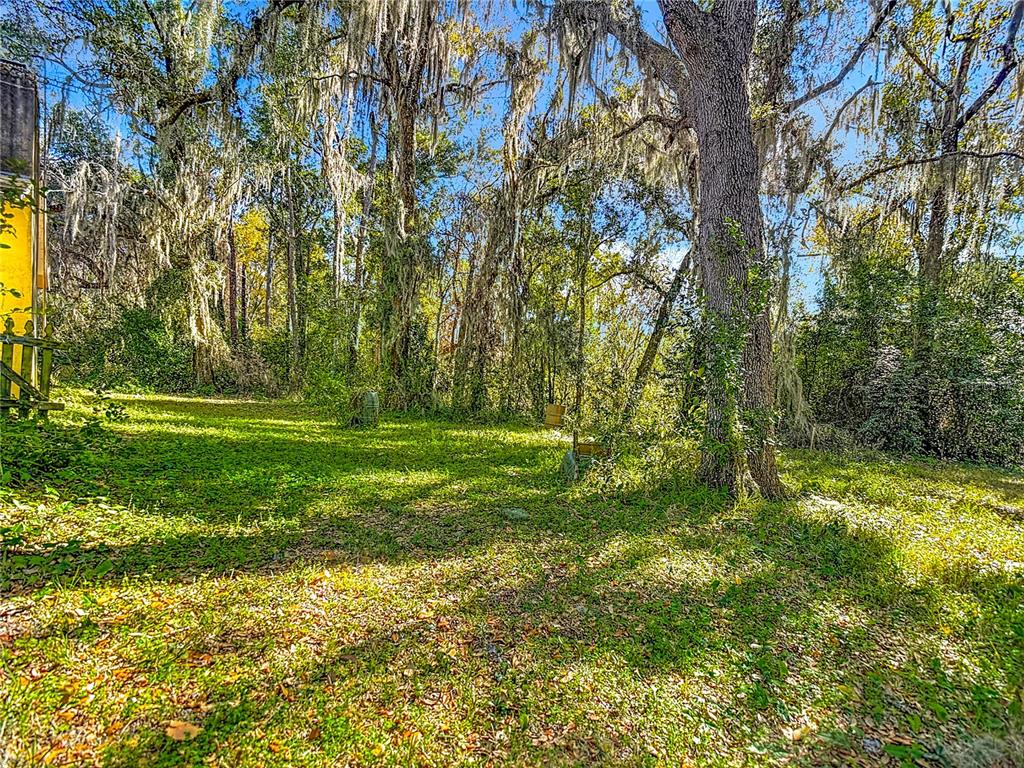 22380 Powell Road Brooksville, FL 34602 - Photo 29 of 45