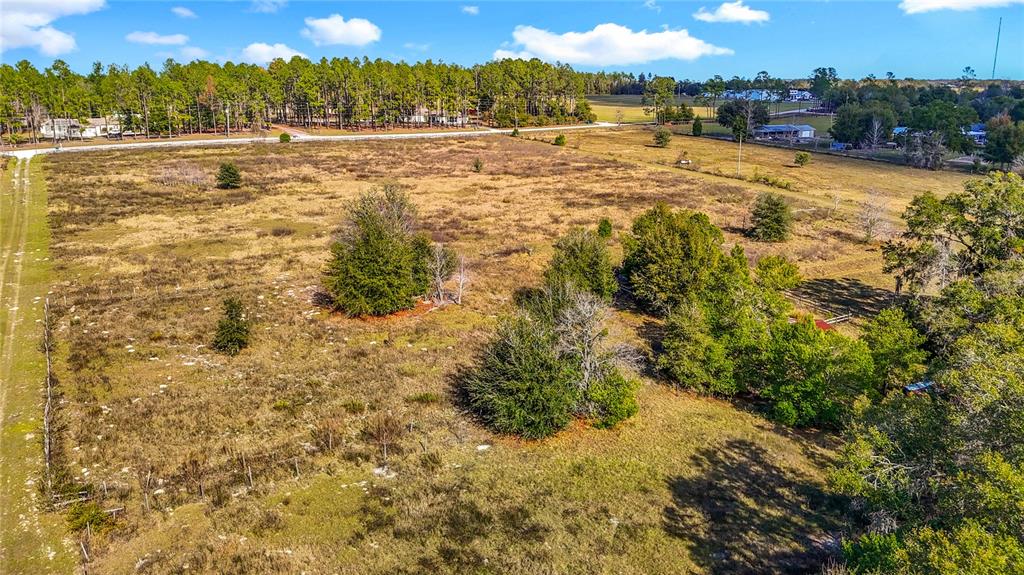 22380 Powell Road Brooksville, FL 34602 - Photo 34 of 45