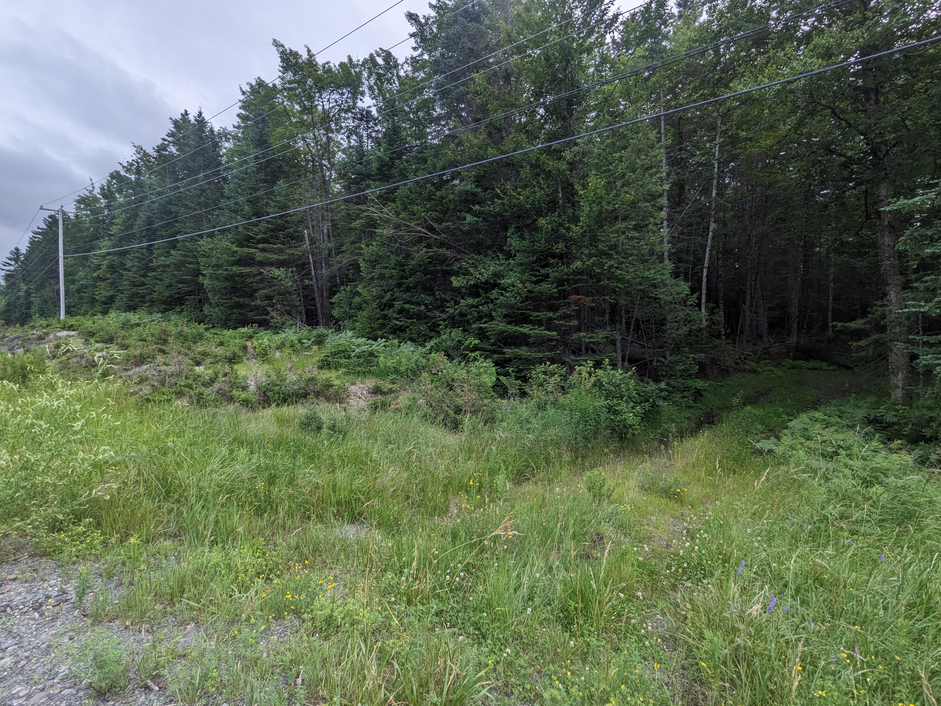 2 Greenville Road Shirley Mills, ME 04485 - Photo 39 of 40 PXL_20230715_211919568