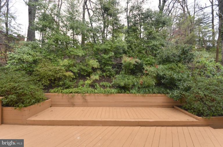 3603 Military Road Arlington, VA 22207 - Photo 18 of 21 Deck