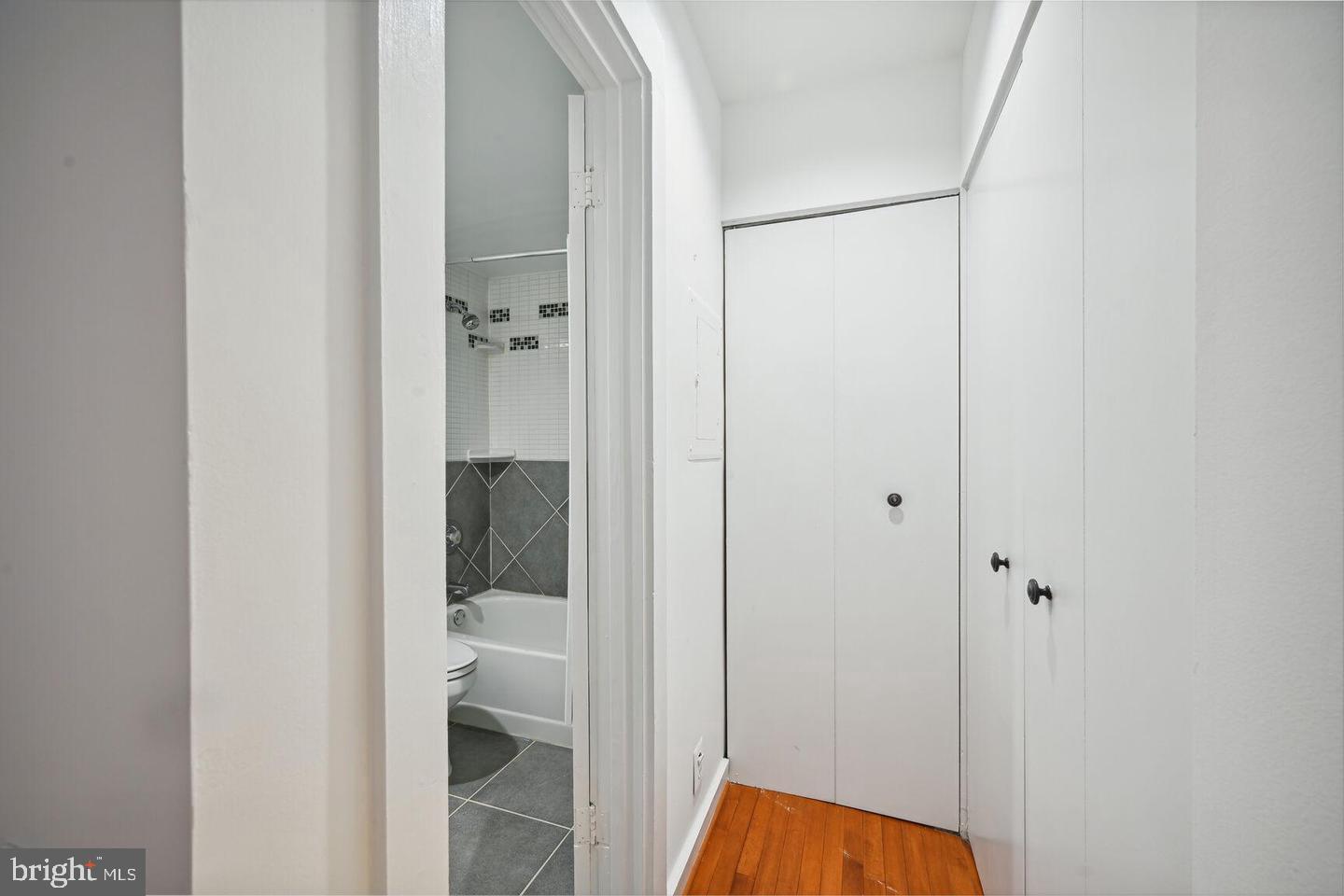 2305 18th Street Northwest, Unit 303 Washington, DC 20009 - Photo 16 of 21 Bright and inviting hallway retreat.