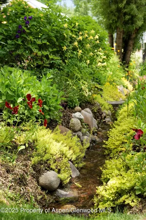 $50,000 | 111 South 6th Street, Aspen, CO 81611