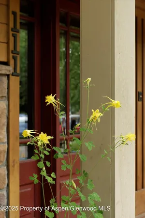 $50,000 | 111 South 6th Street, Aspen, CO 81611