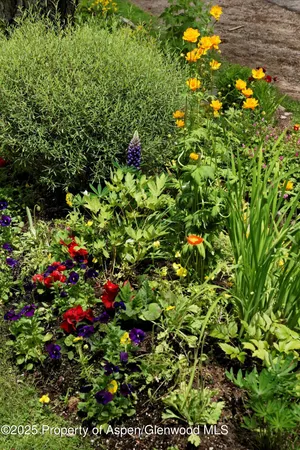 $50,000 | 111 South 6th Street, Aspen, CO 81611