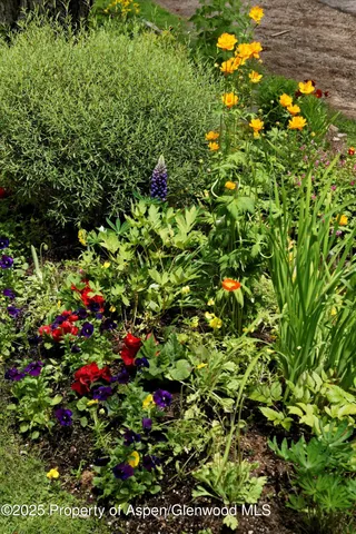 $50,000 | 111 South 6th Street, Aspen, CO 81611