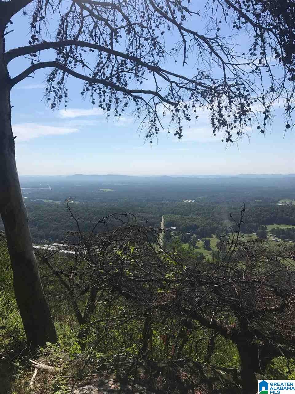 368 Bynum Road, Unit 2 9 AC Steele, AL 35987 - Photo 11 of 12