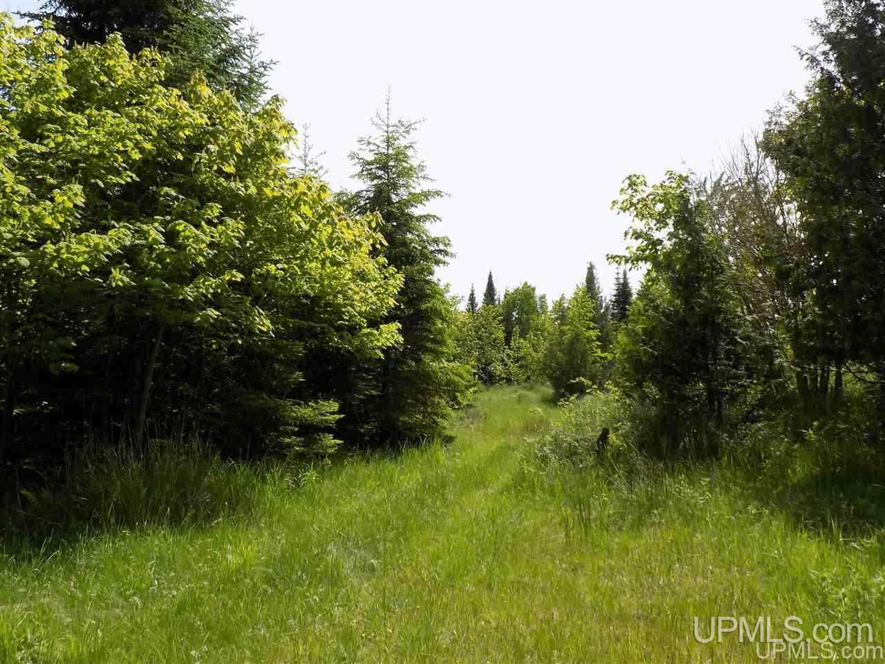 Tbd Miller Point Road Manistique, MI 49854 - Photo 5 of 18