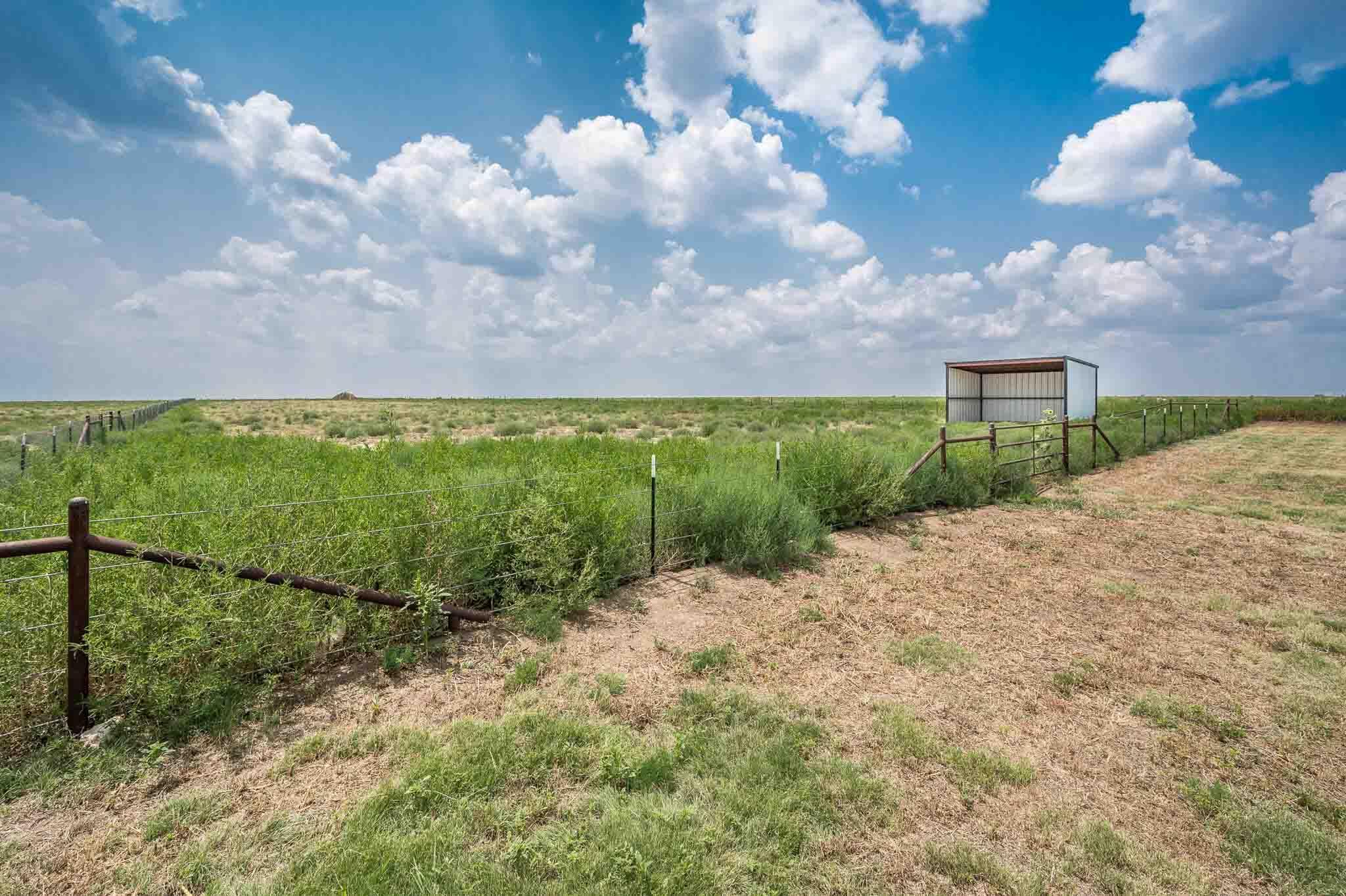 13181 Blf Rdg Trail Canyon, TX 79015 - Photo 60 of 61 13181_Bluff_Ridge-44