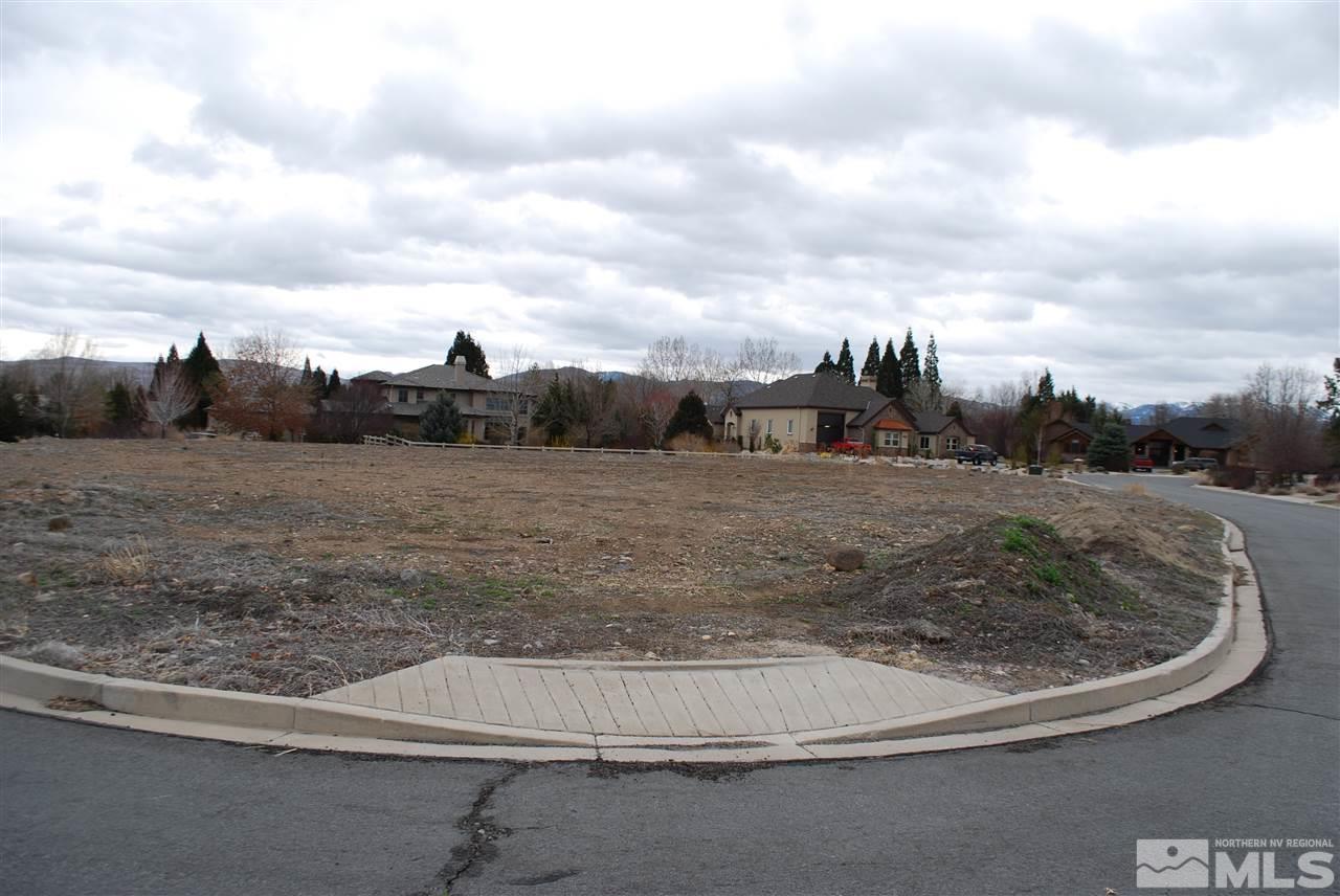 460 Paisano Court Reno, NV 89511 - Photo 8 of 12 a view of a dry yard with large trees