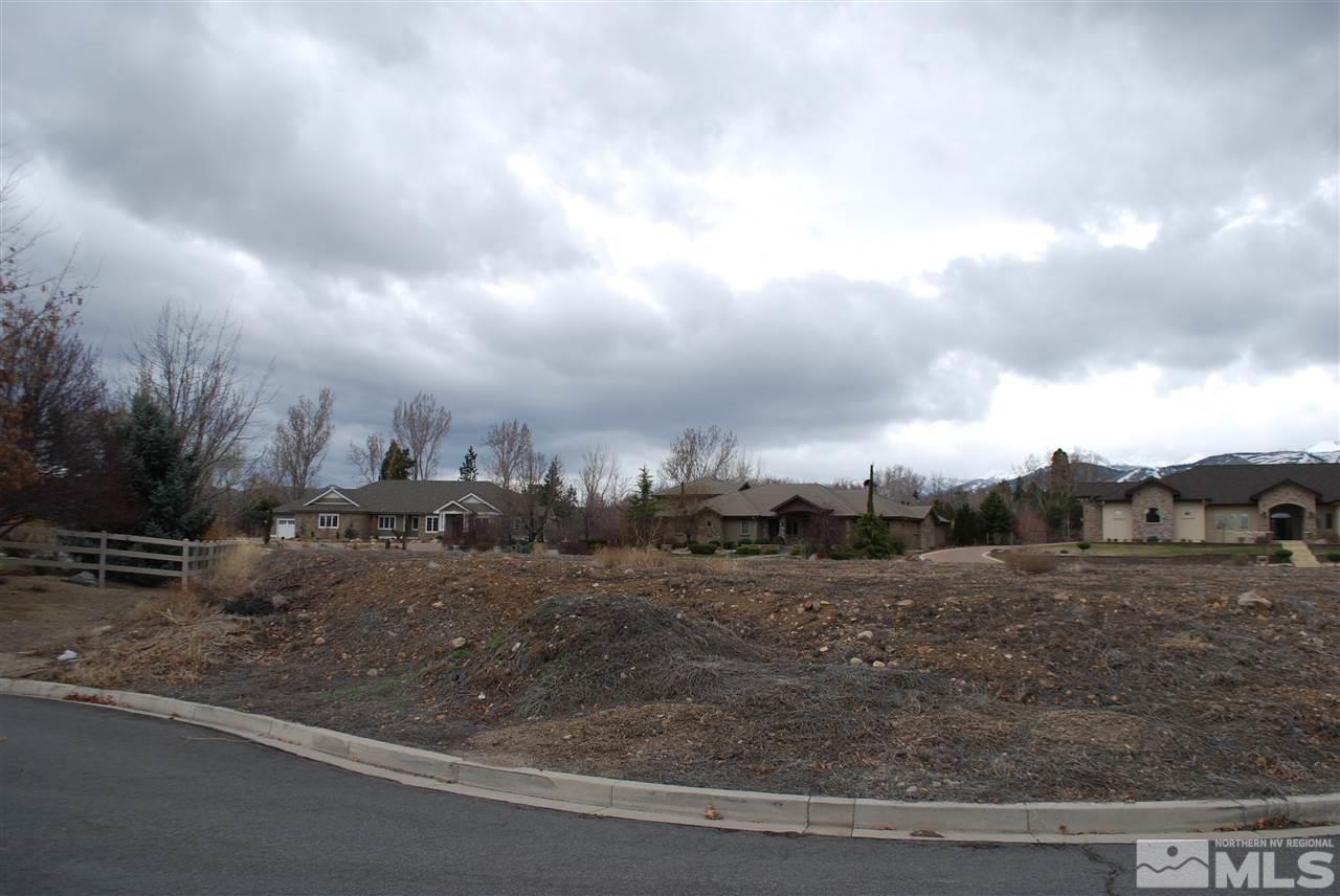 460 Paisano Court Reno, NV 89511 - Photo 10 of 12 a view of a dry yard with trees