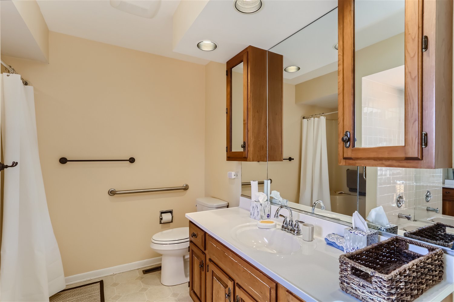 254 Spring Cove Drive Elgin, IL 60123 - Photo 18 of 37 a bathroom with a sink a toilet and a mirror