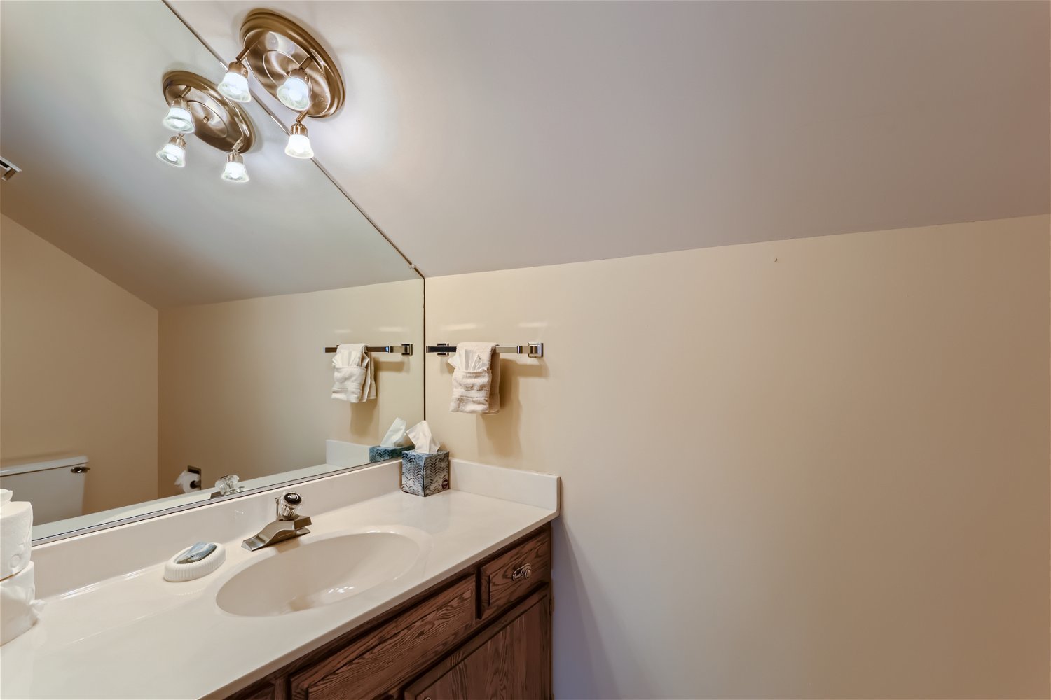 254 Spring Cove Drive Elgin, IL 60123 - Photo 20 of 37 a bathroom with a sink and a mirror