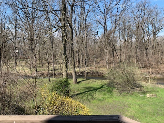 254 Spring Cove Drive Elgin, IL 60123 - Photo 36 of 37 a backyard of a house with lots of green space