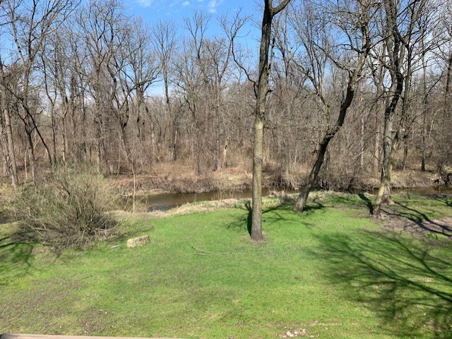 254 Spring Cove Drive Elgin, IL 60123 - Photo 37 of 37 a backyard of a house with lots of green space