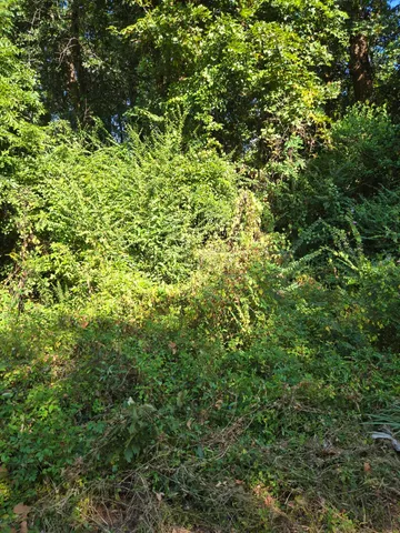 $10,000 | 0 Anna Street, Orangeburg, SC 29115