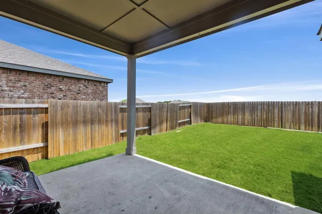 a view of a backyard with plants