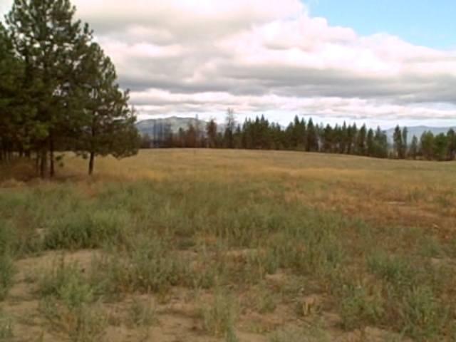 2334 West Jump Off Joe Road, Unit 1 Valley, WA 99181 - Photo 3 of 9