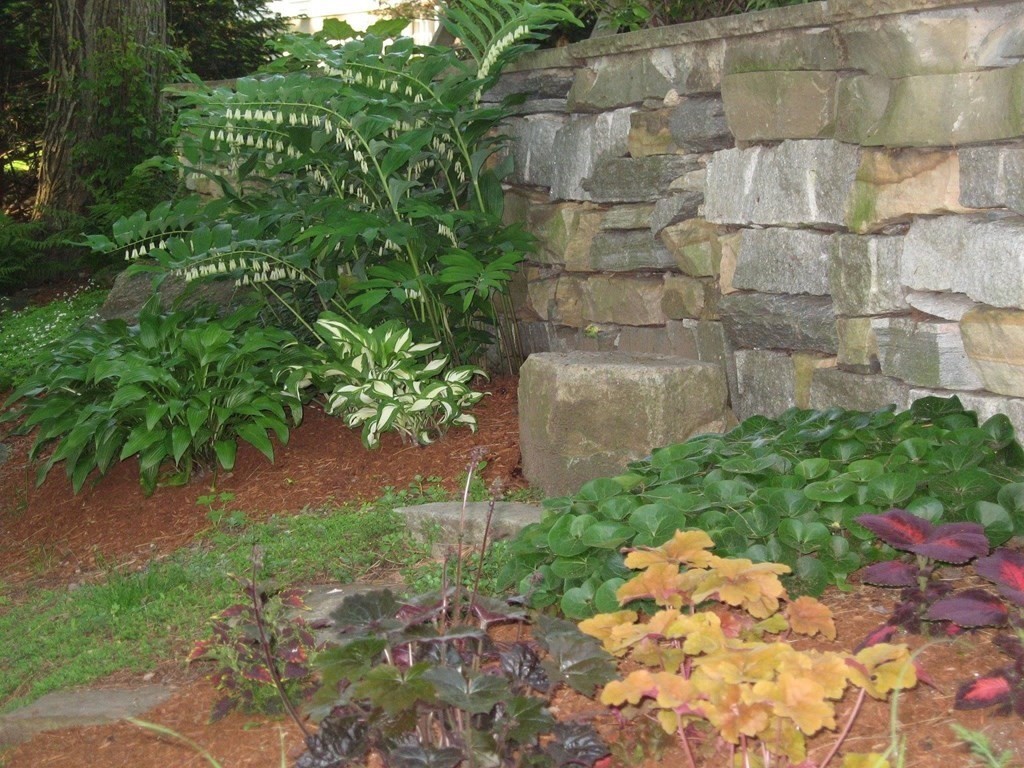 204 Follen Road Lexington, MA 02421 - Photo 28 of 29