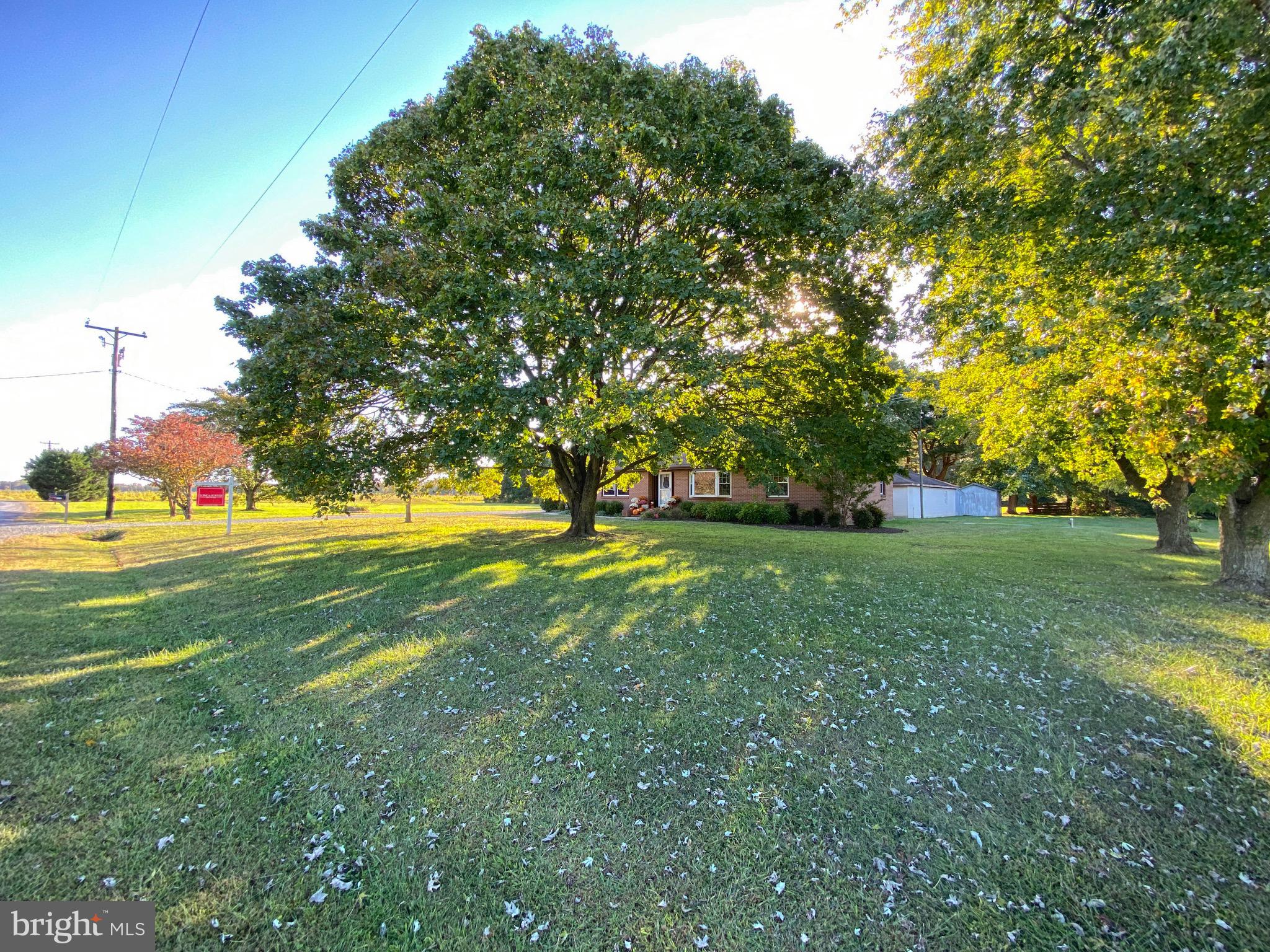 8556 Andersontown Road Denton, MD 21629 - Photo 53 of 57 Gallery Image 53