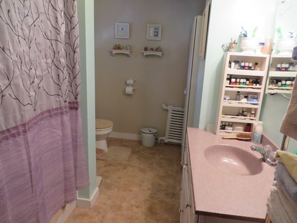 258 Main Road Colrain, MA 01340 - Photo 16 of 29 a bathroom with a sink a toilet and shower curtain